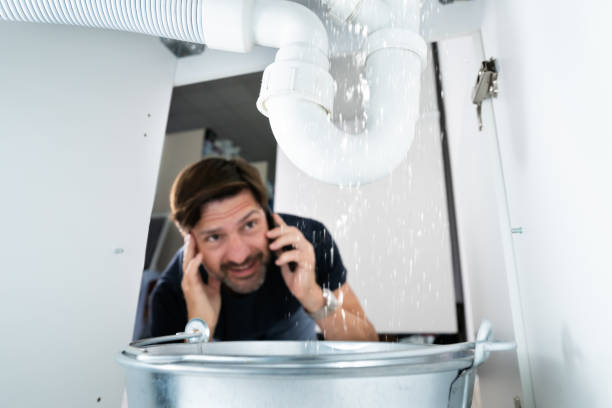 Best Local Plumber Services  in Covington, TN